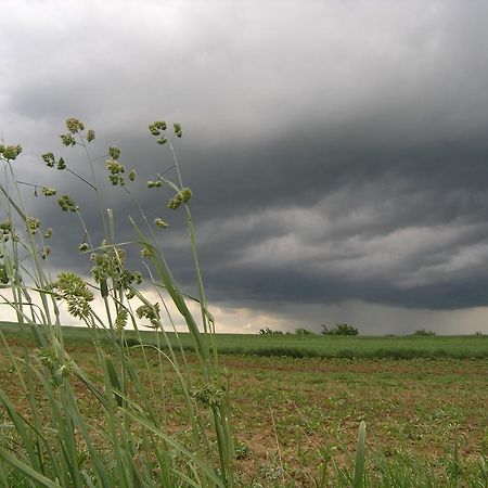 Agroturystyka Kalina Wielka Esterno foto