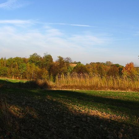 Agroturystyka Kalina Wielka Esterno foto